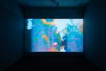 Joey Fauerso; Guadalupe projection still